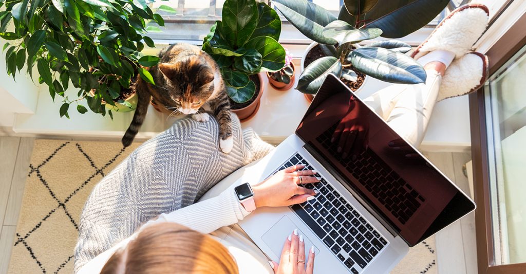 Home-Office