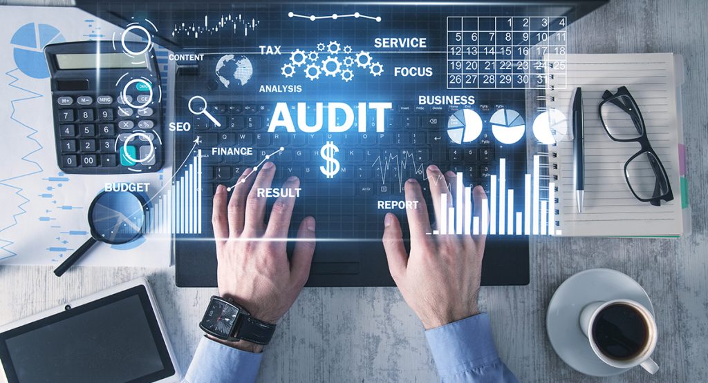 Projekt-Audit