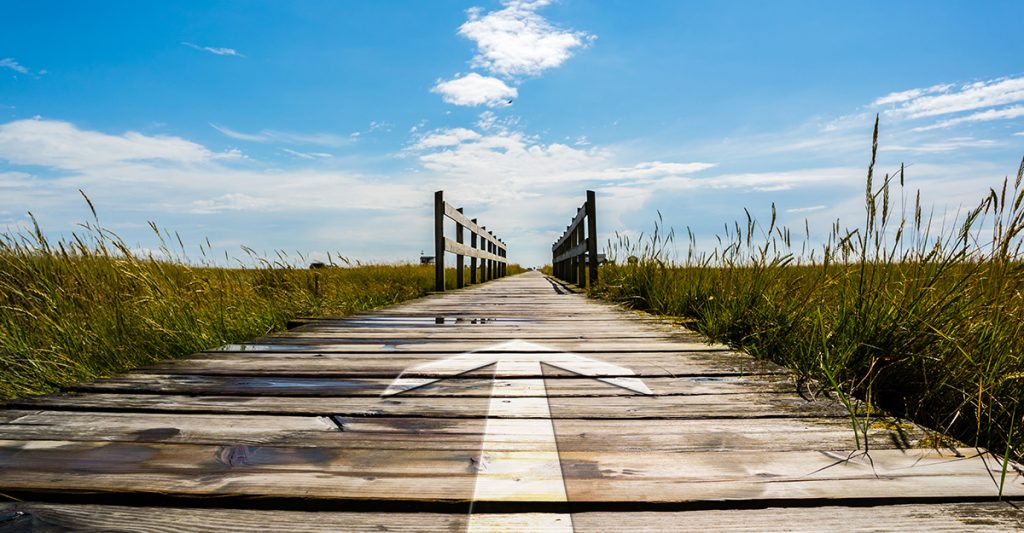 SAP S/4HANA-Migration
